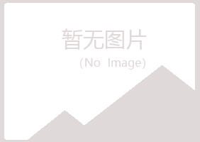 铁岭埋没化学有限公司